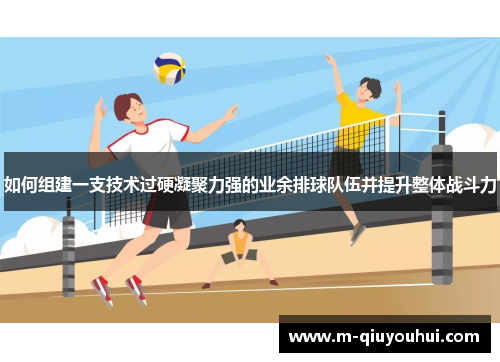 如何组建一支技术过硬凝聚力强的业余排球队伍并提升整体战斗力