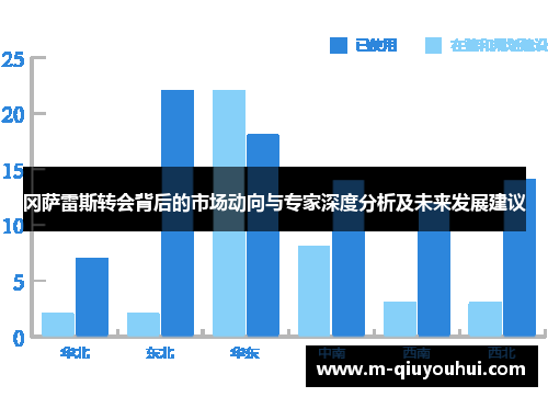 冈萨雷斯转会背后的市场动向与专家深度分析及未来发展建议