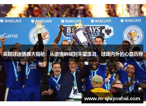 英超球迷情感大揭秘：从激情呐喊到失望落泪，球场内外的心路历程