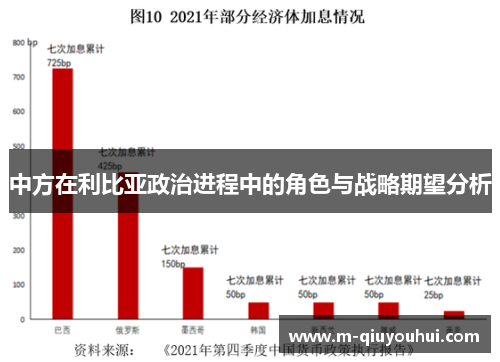 中方在利比亚政治进程中的角色与战略期望分析