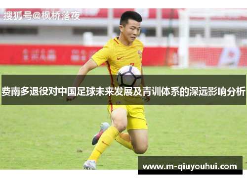 费南多退役对中国足球未来发展及青训体系的深远影响分析
