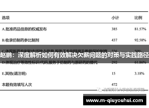 赵鹏：深度解析如何有效解决欠薪问题的对策与实践路径